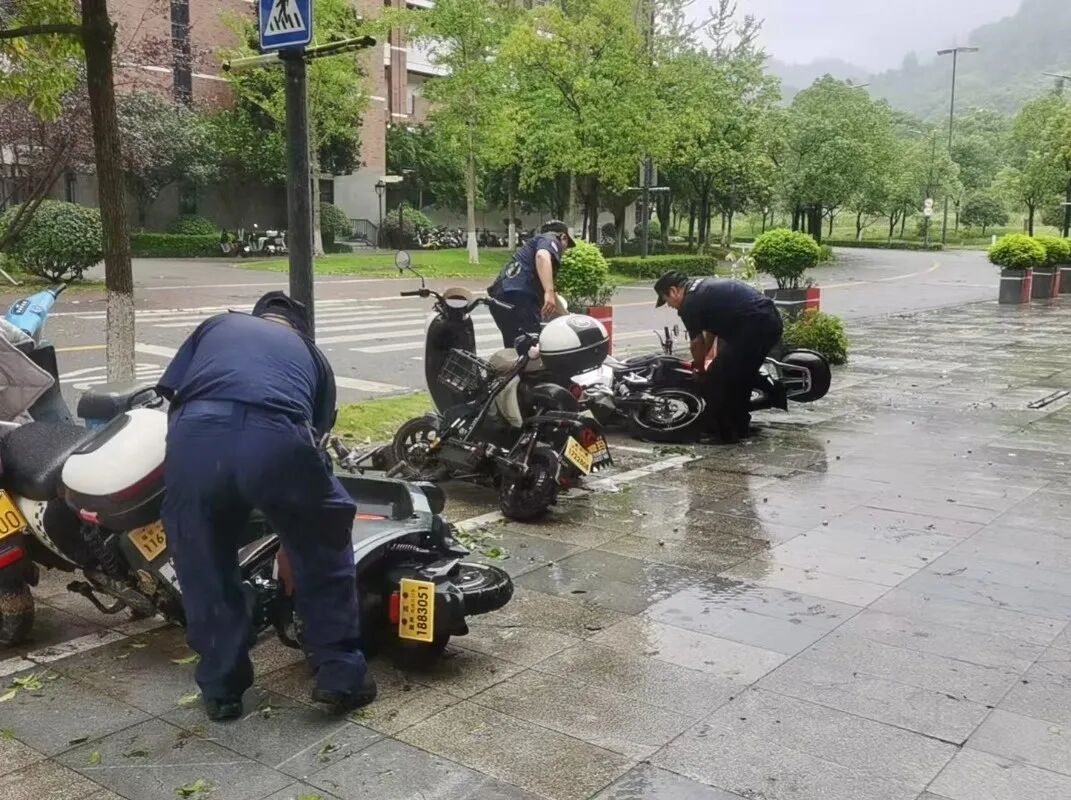 台风后1
