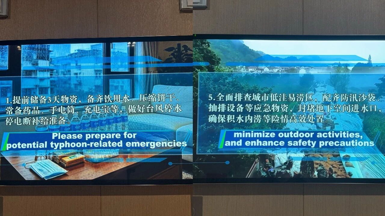 台风白海豚5