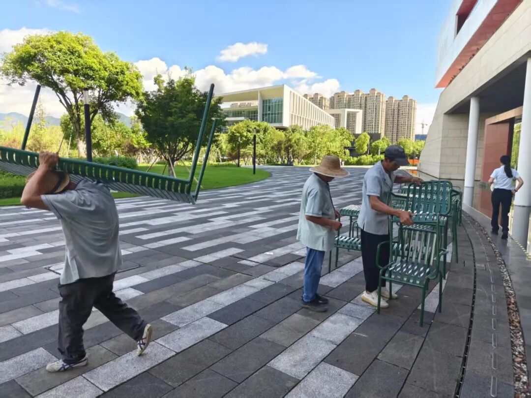 沙德尔4