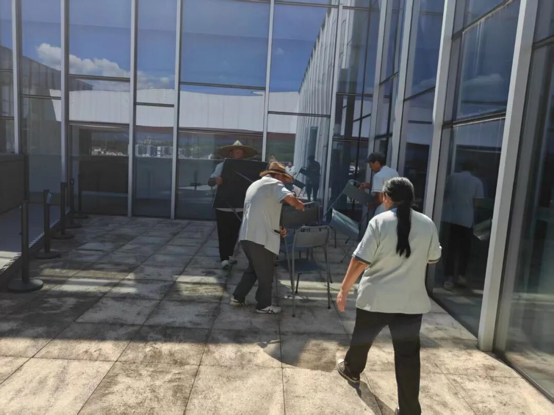 沙德尔6