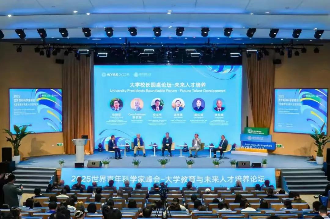 2025年高质量发展5